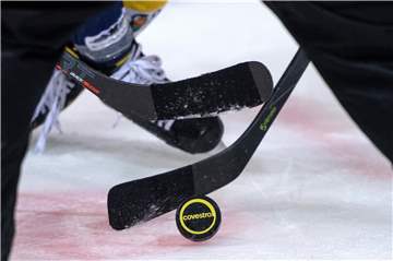 Gegen Wolfsburg ist den Iserlohn Roosters ein sehr guter Abschluss des ersten Saisonabschnitts gelungen.