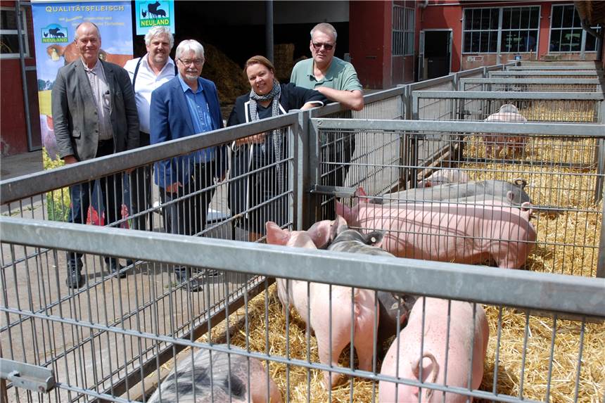 Warum die Schweine auf dem Neuland-Hof noch einen Ringelschwanz haben Gegenseitiges Interesse zeigten am Schweine-Auslauf von Ulrich Dingebauer (r.) Ministerin Ursula Heinen-Esser, Hugo Gödde, Christoph Dahlmann und Friedrich Ostendorff.