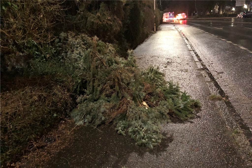 Sturm in Schwerte: Mehrere Einsätze für die Feuerwehr – So wird das Wetter am Samstag Gegenüber von Gebrüder Nolte war ein Baum auf den Gehweg gekippt.