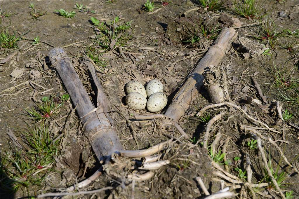 Naturschutz in Haltern