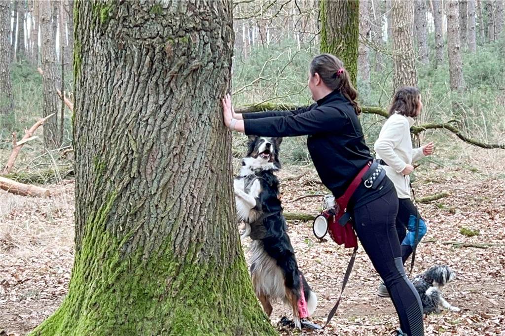 Die Gassi-Runde wird zum Fitnesstraining: Dorstenerinnen bieten Sport mit Hund an Frau und Hund stemmen Arme und Vorderläufe an eine Eiche und machen gemeinsam dieselbe Fitnessübung