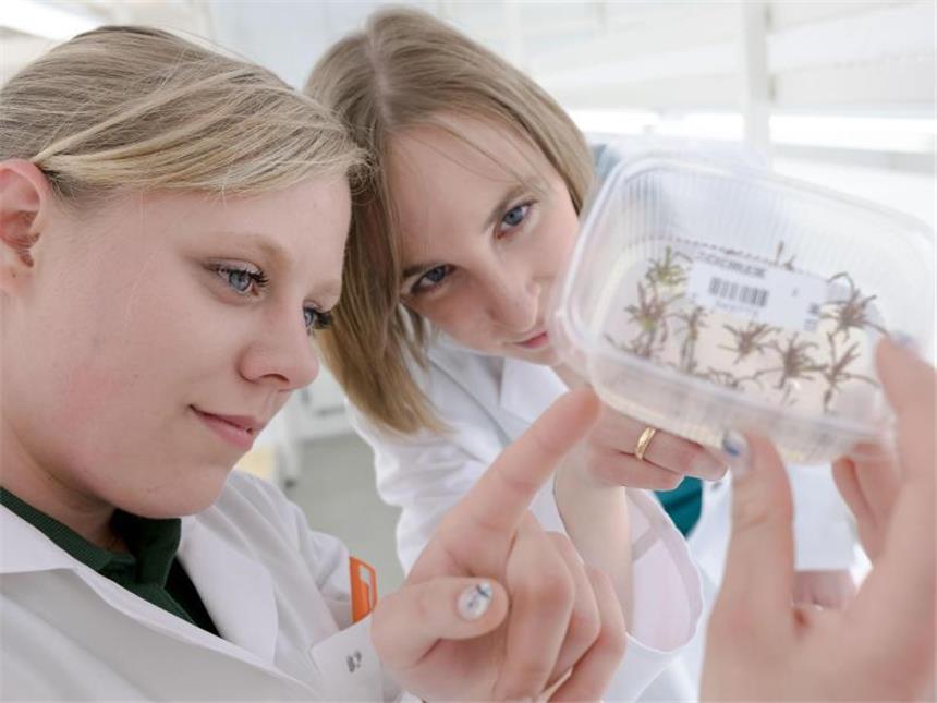 Wie werde ich Pflanzentechnologe/in? Gemeinsam mit ihrer Ausbilderin Stefanie Krüger analysiert Denise Zuckerrüben-Proben im Labor der KWS Saat SE in Einbeck. Foto: Peter Steffen/dpa-tmn