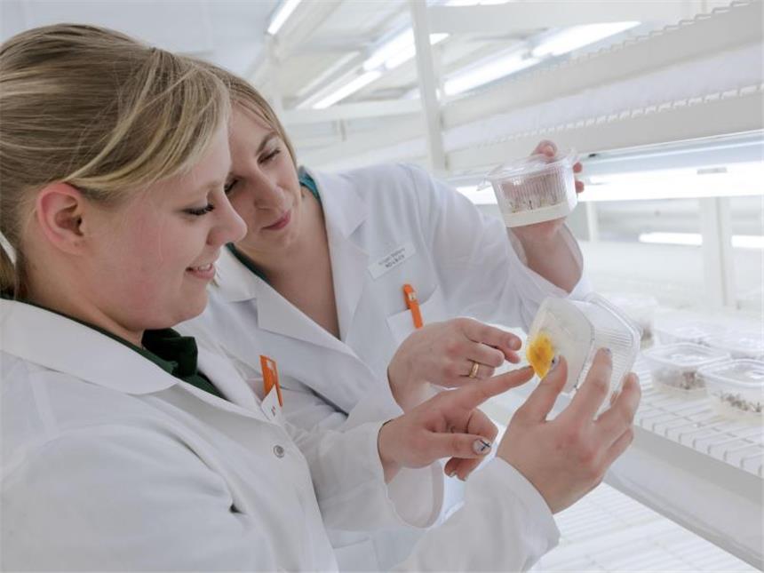 Wie werde ich Pflanzentechnologe/in? Gemeinsam mit ihrer Ausbilderin Stefanie Krüger steht Denise im Labor der KWS Saat SE. Foto: Peter Steffen/dpa-tmn
