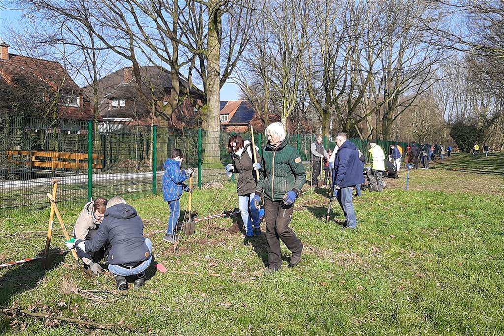 Förderverein Gymnasium Altlünen: Zum 50. gibt es eine große Sause Gemeinsam mit Schülern, Eltern und Lehrern hat der Förderverein schon einige Projekte auf die Beine gestellt. Im Frühjahr wurde mit vereinter Kraft Hecke gepflanzt.