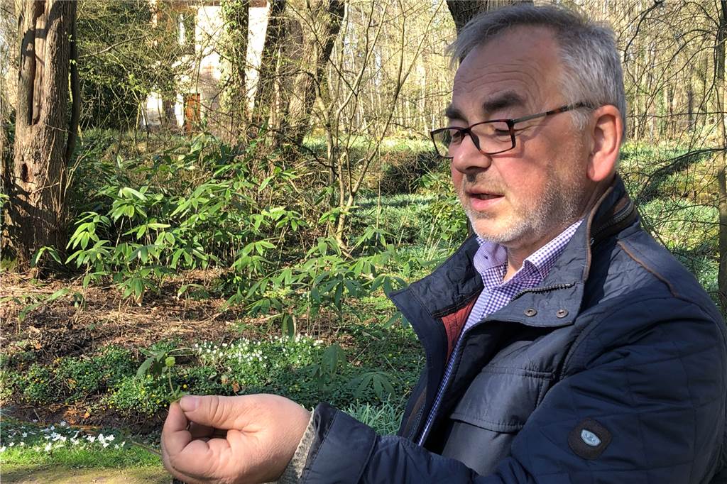 Der Frühling ist da! Bunte Wildblumenteppiche blühen am Schloss Sythen Georg Tuschewitzki kennt sich mit den Wildblumen am Schloss aus.