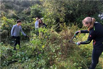 Gesamtschülerinnen und -schüler halfen am Montag im Naturschutzgebiet Lichtenhagen bei der Pflege der Heidelandschaft.