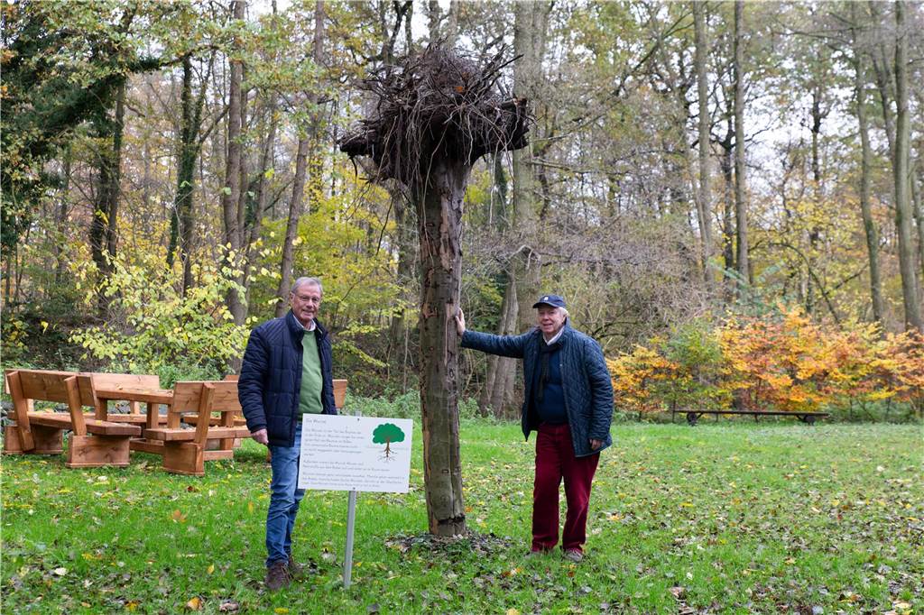 Geschäftsführer Hubert Schulte und Vorstandsmitglied Horst Pfeiffer präsentieren das Projekt „Baum verkehrt“. 