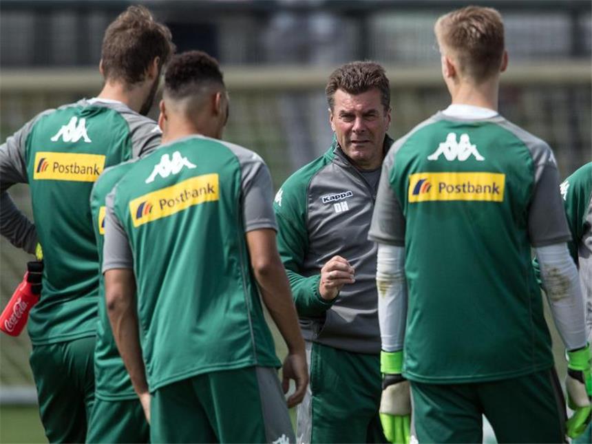 Gladbach im Angriffsmodus Gladbachs Trainer Dieter Hecking setzt auf junge Spieler. Foto: Federico Gambarini