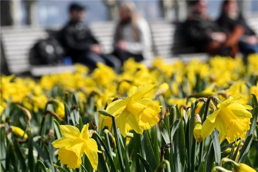 Das hilft schon am Morgen gegen Frühjahrsmüdigkeit Gleich am Morgen ein bisschen Sonne tanken - das vertreibt die Frühjahrsmüdigkeit. Foto: Patrick Seeger