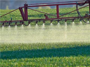 Gnadenfrist für den Unkrautkiller Glyphosat: Die EU-Kommission will den Unkrautvernichter im Alleingang für weitere 18 Monate weiter genehmigen. Foto: Patrick Pleul/Illustration