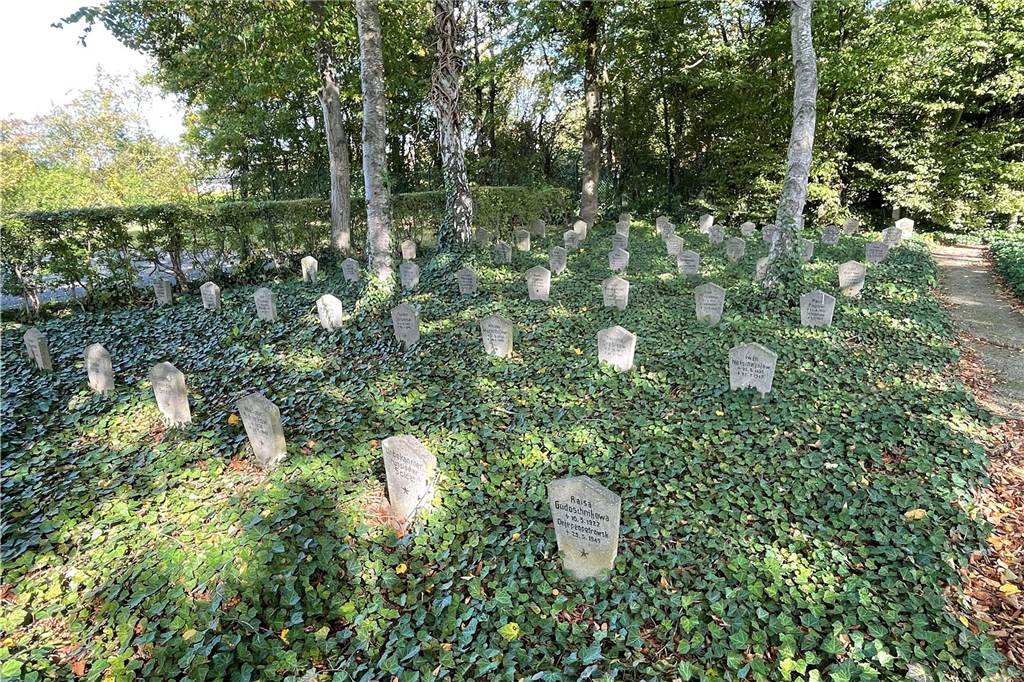 AFG-Schüler formulieren Text für neue Gedenktafel „Zwangsarbeit“ Grabfelder auf dem ehemaligen „Russenfriedhof“ am Südring in Werne.