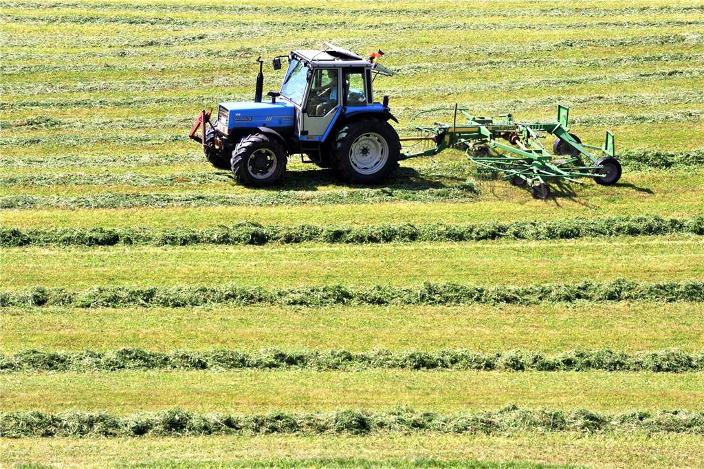 Dürresommer schmälern die Ernte und lassen Landwirte neue Wege suchen Grasernte