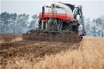 Gülle wird auf einem Feld verteilt. Damit gelangt Nitrat ins Grundwasser. Foto: Philipp Schulze