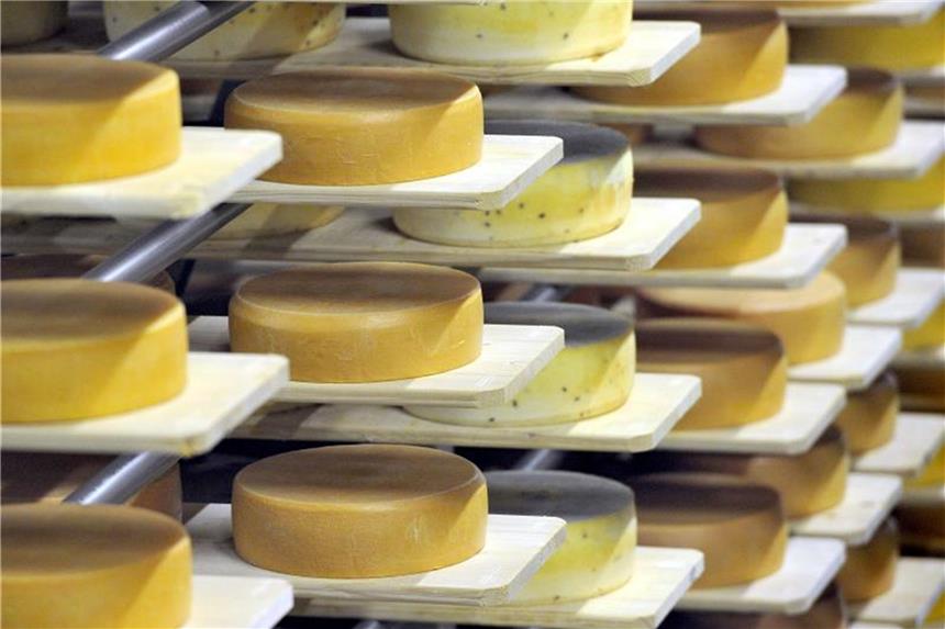 Neuer Exportrekord für deutschen Käse erwartet Gut gefüllt sind die Käseregale in einer Molkerei in Münchehofe in Brandenburg. Foto: Bernd Settnik/Archiv