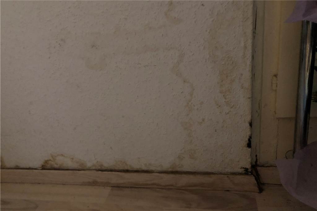 Kerstin Koch (43) lebt seit drei Monaten mit einem Wasserschaden Gut zu erkennen ist der Schimmel, der sich auf den Wänden in Kerstin Kochs Wohnung gebildet hat