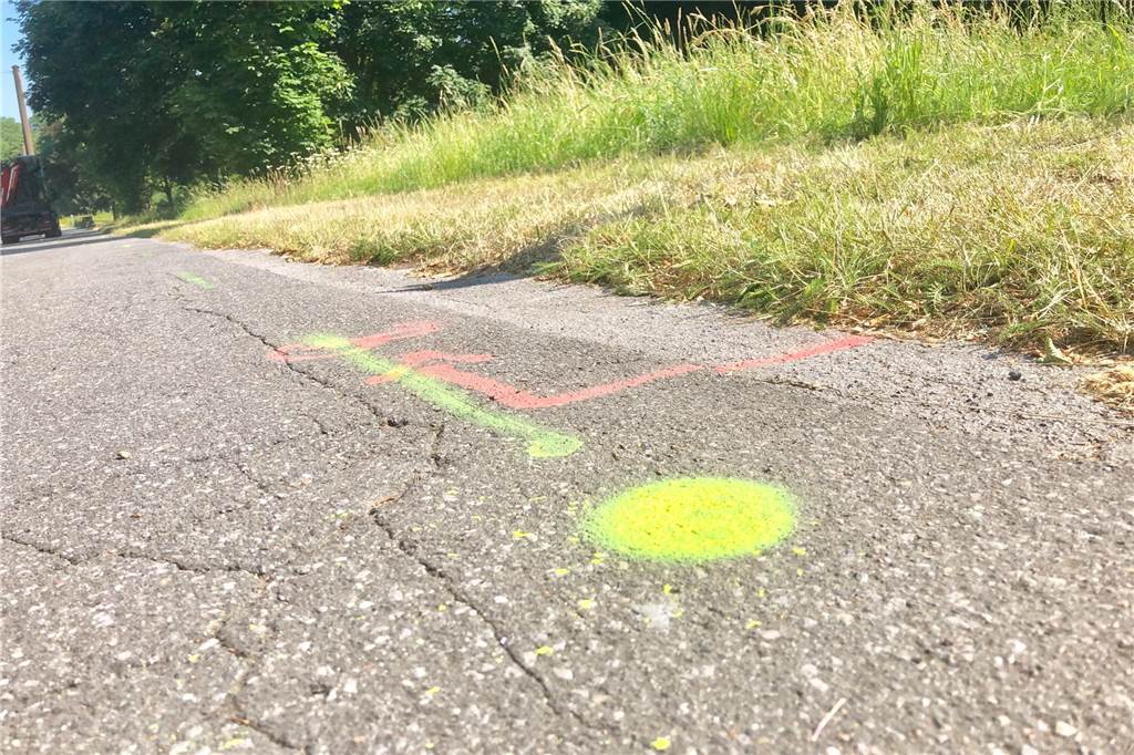 Mit Pfosten gegen BVB-Besucher: Rasenstück an der Ardeystraße wird abgesperrt Gut zu sehen sind die Stellen, an denen weitere Pfosten gesetzt werden.
