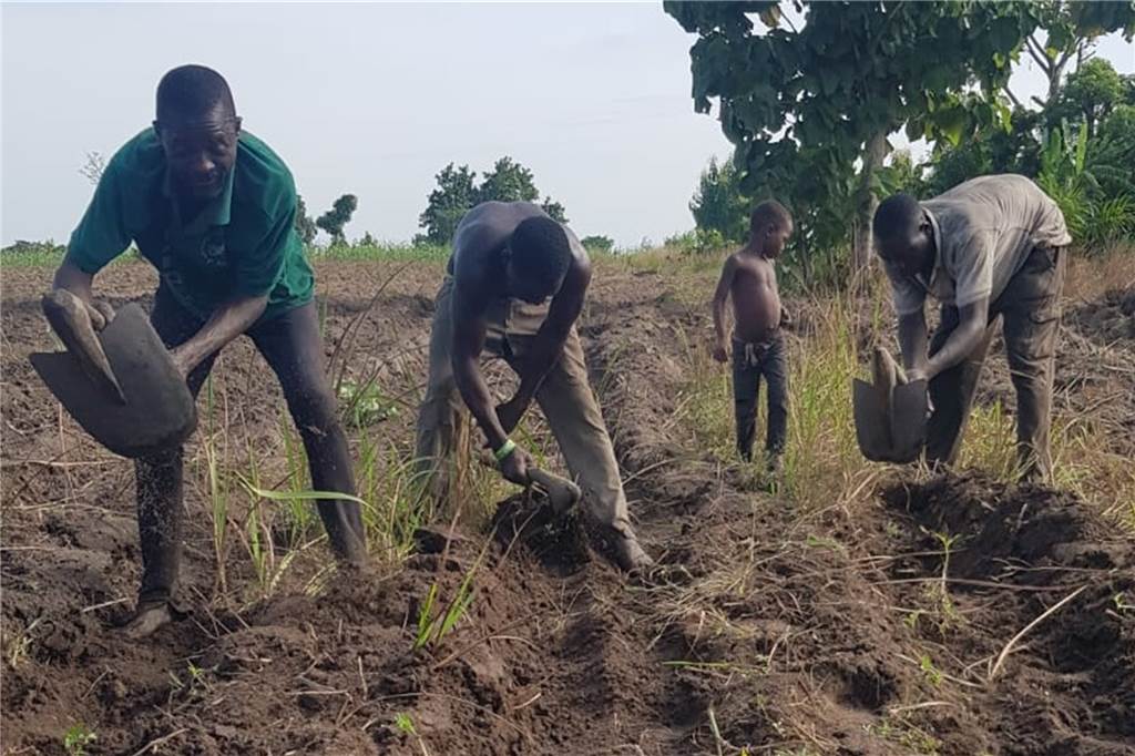 Ein Landwirt aus Südlohn hilft in Togo – und bleibt nun mehrere Jahre Häufeln von Dämmen für den traditionellen Maisanbau: Wie bei allen Projekten gilt: Die Hilfe zur Selbsthilfe ist die beste Entwicklungsförderung vor Ort in Afrika.
