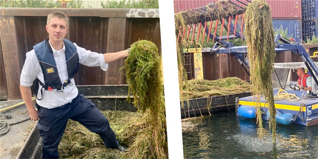 Mehr Arbeit als je zuvor: Im Dortmunder Hafen wird der Klimawandel deutlich sichtbar Hafenmeister Sebastian Koch mit der „Wasserpest“, die Hafen-Mitarbeiter Günter Riemann mit Mähboot „Mähndy“ eingesammelt hat.