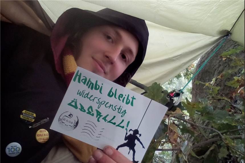 Postkarte schafft es bis zur Alten Eiche: Der Hambacher Forst bedankt sich bei HambiPotter HambiPotter hat Post aus dem Hambacher Forst bekommen – und bedankt sich dafür bei Twitter.