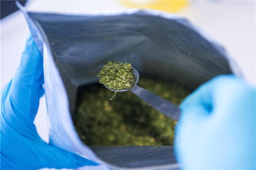 Tests spüren gefälschtes Superfood auf Handelt es sich um echtes Superfood? Um dies zu überprüfen, wird am Karlsruher Institut für Technologie (KIT) Moringa-Tee analysiert. Foto: Sebastian Gollnow