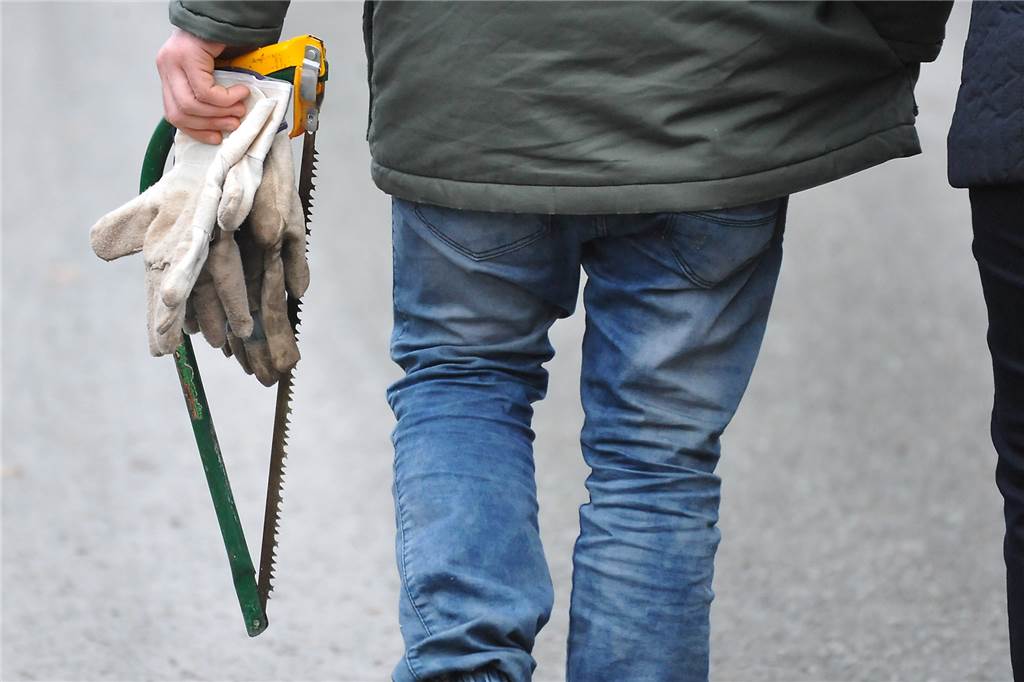 Hier können Sie in der Region Ihren Weihnachtsbaum selber sägen Handschuhe, Säge, wetterfeste Kleidung, festes Schuhwerk: So gerüstet, kann man sich zur Baumsuche aufmachen.