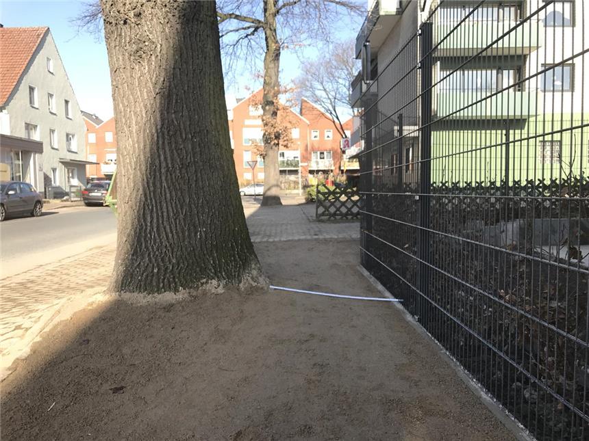 Stadt will Fußgänger rechts und links am Baum vorbeiführen Handvermessen mit dem Zollstock: 93 Zentimeter Platz sind zwischen Baum und Zaun an der Idastraße. Bald wird der Weg auch links am Baum vorbeigeführt.