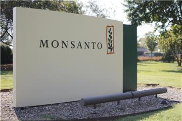 Hauptsitz von Monsanto in St. Louis. Der Saatgutriese muss sich vor einem US-Gericht wegen angeblich verschleierter Krebsrisiken seines Unkrautvernichters Roundup verantworten. Foto: Daniel Dreifuss