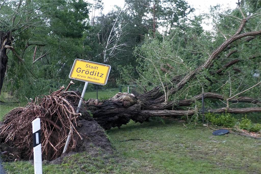 Ein umgefallener Baum liegt neben dem Ortsschild von Gröditz.