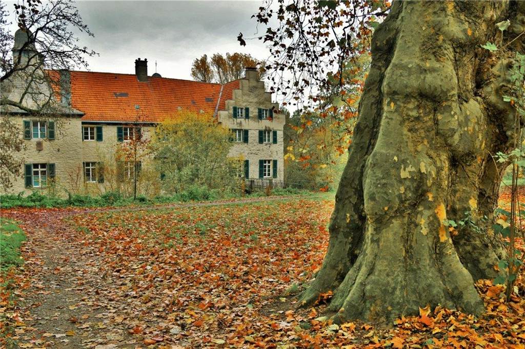 Herbst am schönen Haus Dellwig in Lütgendortmund.