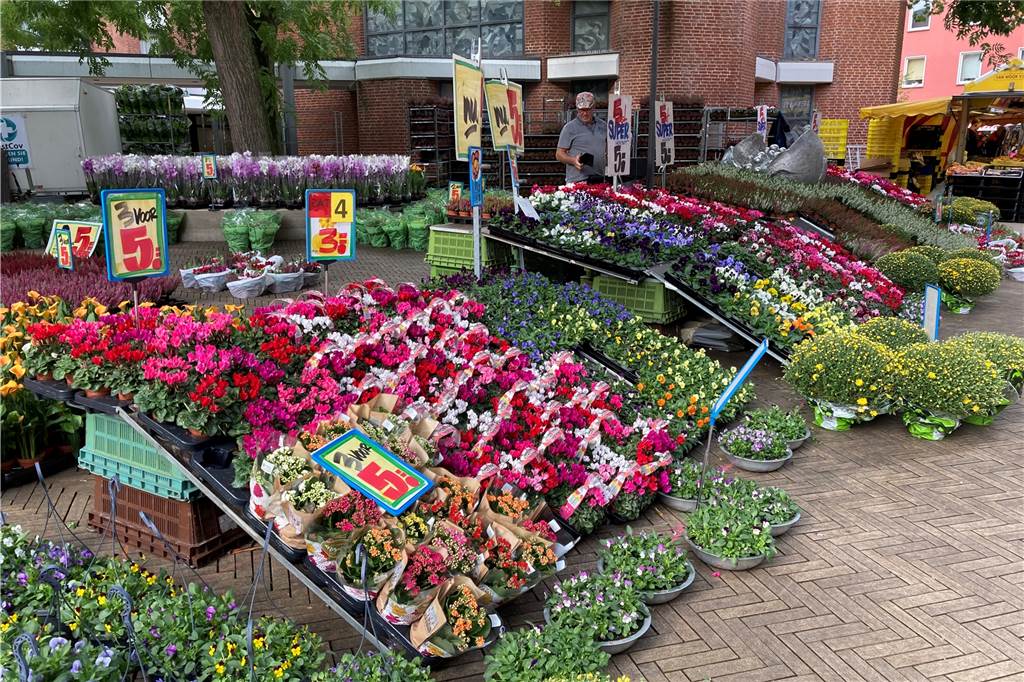 Dorstener Veranstalter: „Der beste Herbstfest-Sonntag seit zehn Jahren“ Ein herbstliches Blumenangebot aus Holland auf der Lippestraße