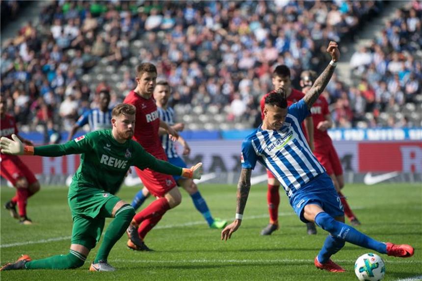 Selkes Doppelpack stoppt Kölner Hoffnungen: Hertha siegt 2:1 Herthas Davie Selke und der Kölner Torwart Timo Horn in Aktion. Foto: Ralf Hirschberger