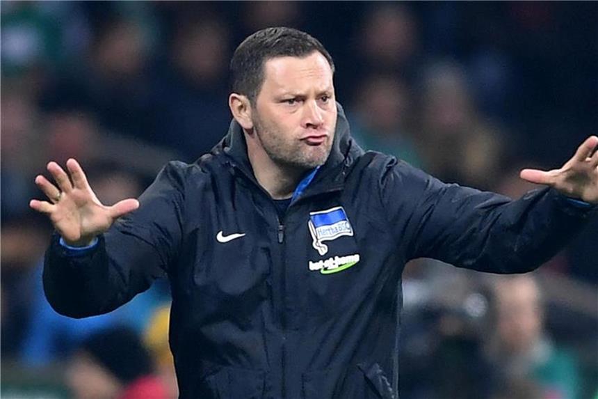 Hertha hofft vor schwierigen Aufgaben auf Sieg gegen Mainz Herthas Trainer Pal Dardai erwartet kämpfende Mainzer im Olympiastadion. Foto: Carmen Jaspersen
