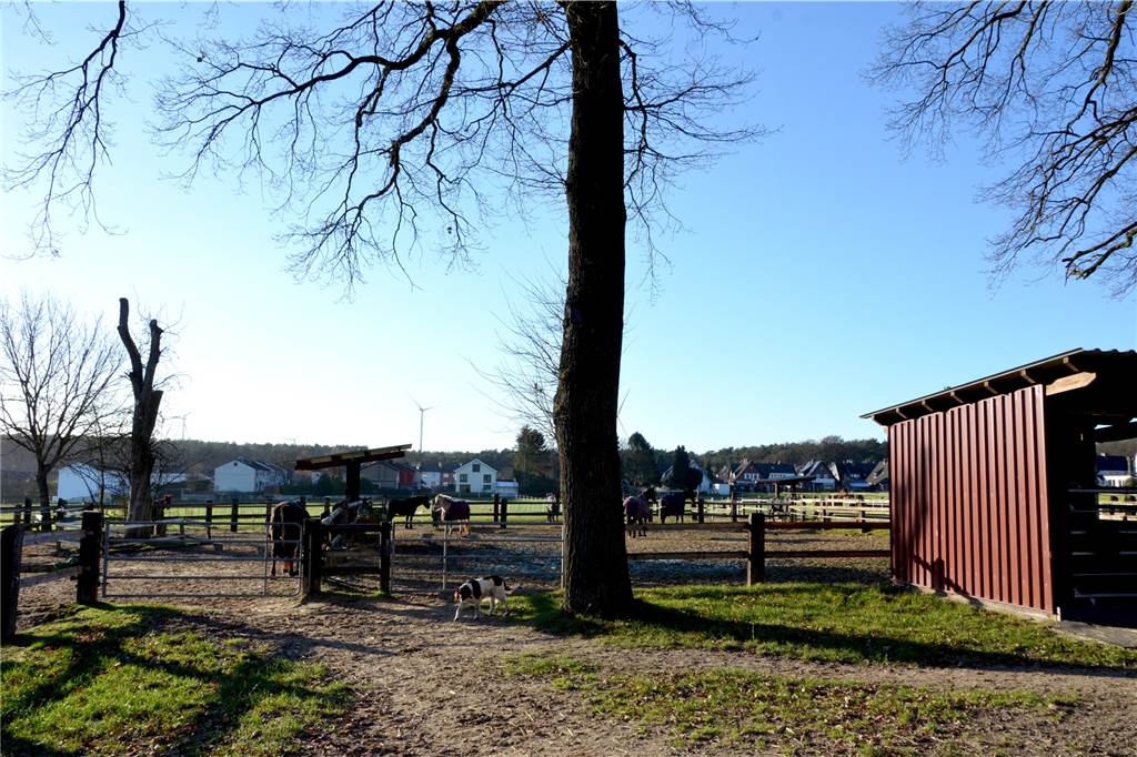 Nächste Generation: Sohn Mathias übernimmt Hof Koch in Haltern Heute betreibt Hof Koch in Haltern Ackerbau und eine Pferdepension.