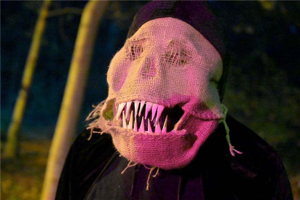 Hexen, Zombies und Werwölfe: Im Südpark in Lünen-Süd war an Halloween gleich ein ganzes Grusel-Kabinett anwesend.