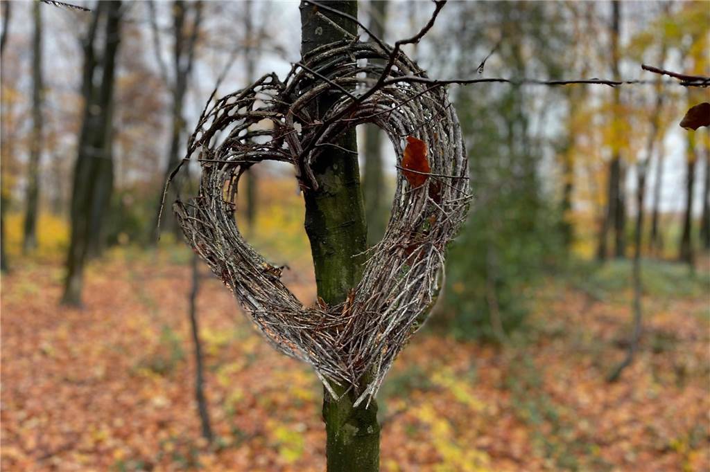 Hier braucht das Gehirn erst gar nicht konstruieren. Und ein Gesicht braucht es auch Nicht zu suchen. Dieses Herz ist ein Herz. Warum es an dem dünnen Baum jenseits des Fußweges durch den Mischwald in Werne-Langern hängt, bleibt wohl ein Geheimnis. 