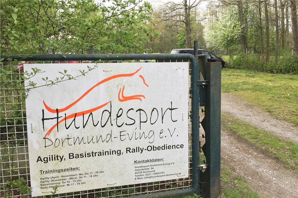Hundesportler setzen zum großen Sprung an: 16.600 Euro für ein modernes Vereinsgelände Hier geht's rein: Die Anlage des Hundesportvereins wird in den kommenden Wochen ein völlig neues Aussehen bekommen.