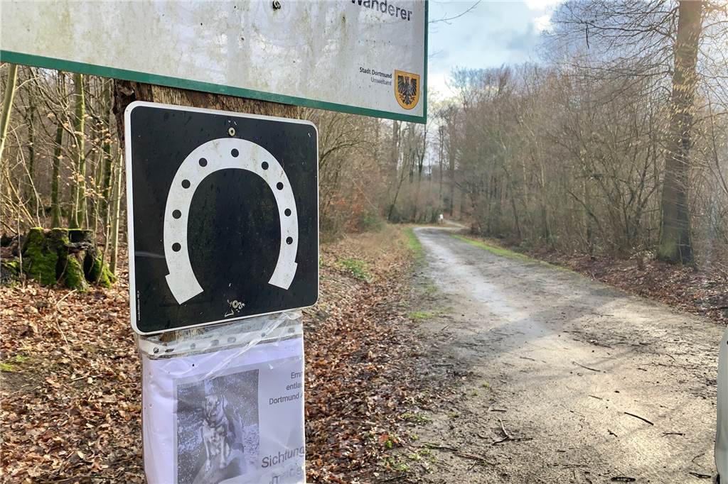 Emma ist weg – und ganz Aplerbeck auf der Suche Hier, im Aplerbecker Wald, ist die Hündin am Samstag (8.2.) verschwunden.