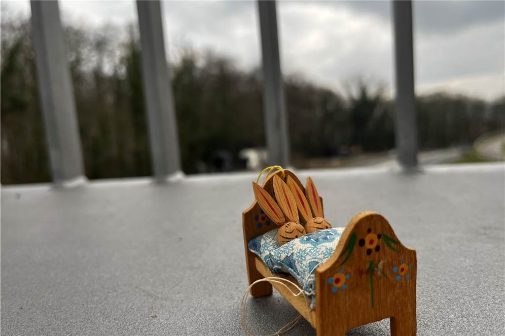 Hier sind die Schlafquartiere der Osterhäschen zu sehen