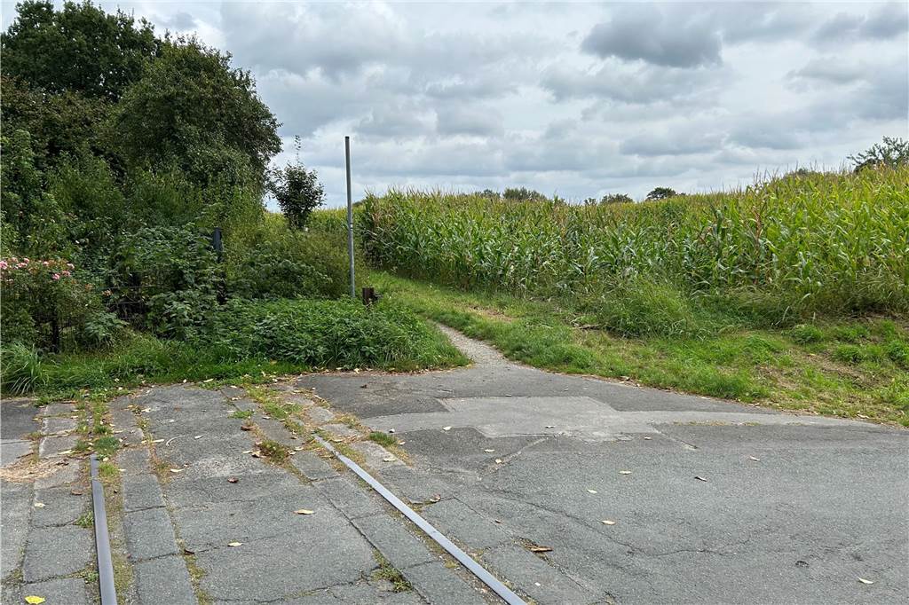 Neuer Radweg: „Wir verstehen nicht, warum die Natur kaputt gemacht wird“ An dieser Stelle verlief früher die Lothringen-Trasse. Heute ist dort viel Natur und ein Feld.