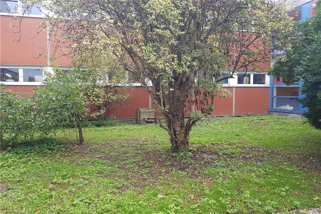 Lesegarten: Lensing-Spende ermöglicht neues Projekt für Schüler Hier sollen künftig Sitzplätze für 30 Schüler eingerichtet werden.