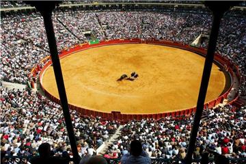 Hier treffen die deutschen Davis-Cup-Spieler auf Spanien: In der Stierkampfarena in Valencia. Foto: Kai Foersterling/epa