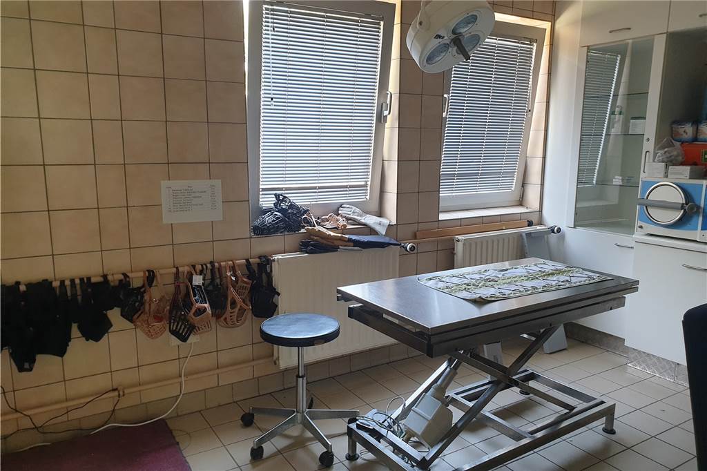 Steigende Tierarztkosten ab Herbst - Landen dann mehr Haustiere im Tierheim? Hier werden die Hunde im Tierschutzzentrum tierärztlich versorgt.