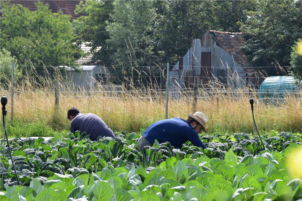 Eindrücke vom Gelände der solidarischen Landwirtschaft in Waltrop.
