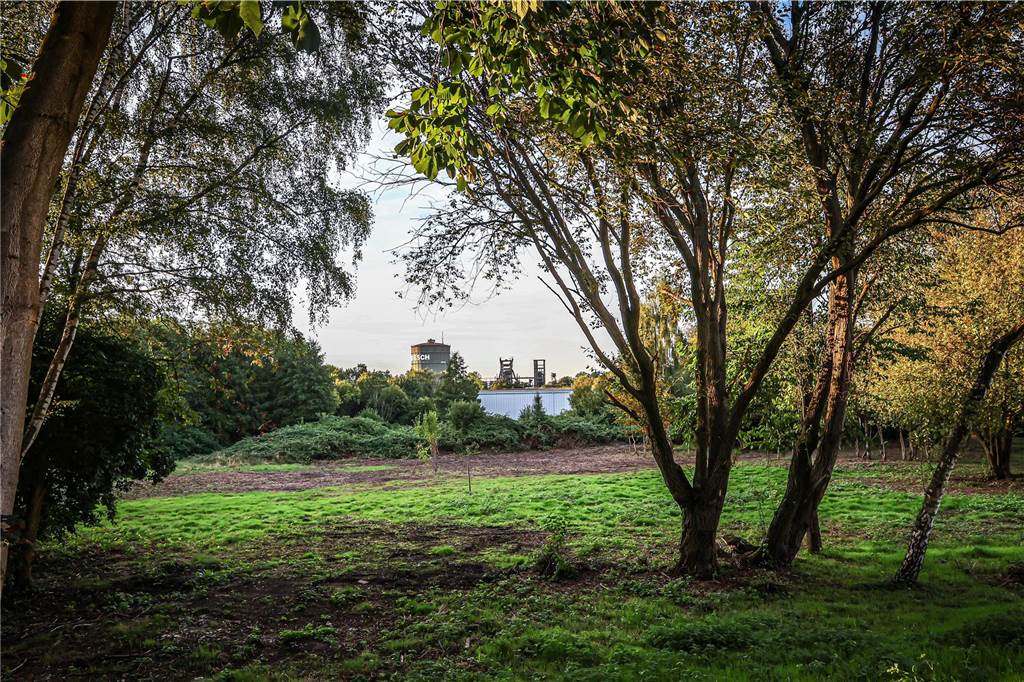 20.000 neue Wohnungen: Bau kommt voran, aber Mieten steigen Blick auf ein leeres Baugrundstück an der Stettiner Straße in Dortmund, auf dem die DSG neue Wohnungen bauen will.
