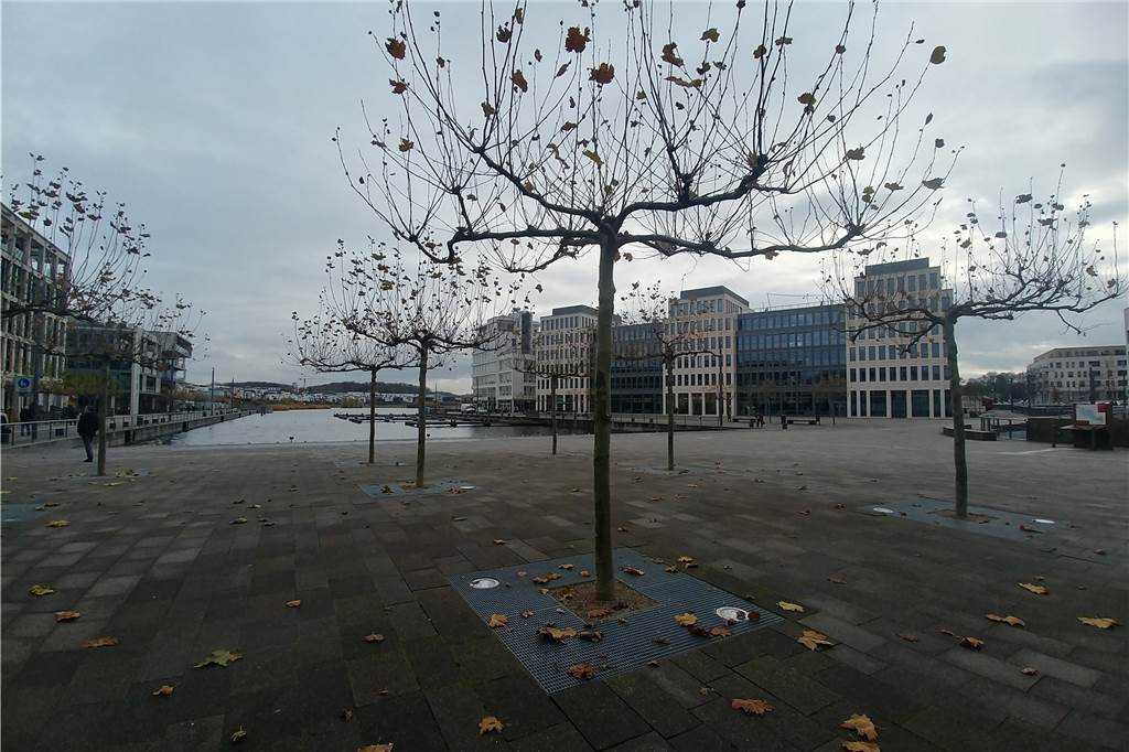 Phoenix-See im Dunkeln: Lichter werden immer wieder gestohlen Hier wurde bereits eine Lösung für die Beleuchtungsausfälle gefunden. An anderer Stelle müssen Gäste noch geduldig sein.