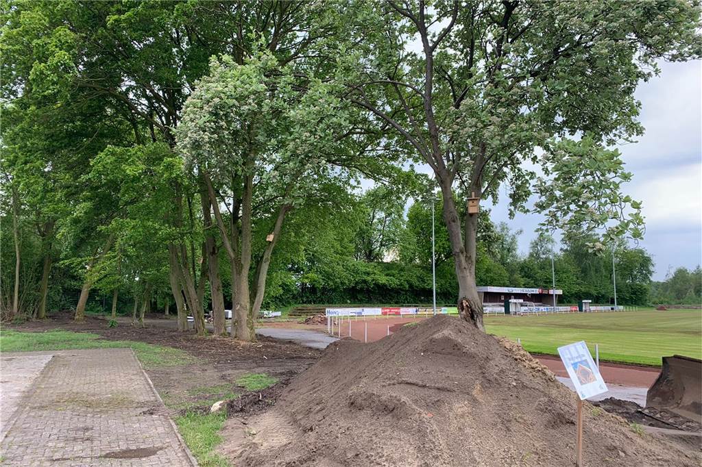 Hier, zwischen den Bäumen, soll der Spielplatz entstehen. Mit einem Kletterparcours, einem Balancierseil, Wippe und Schaukel.
