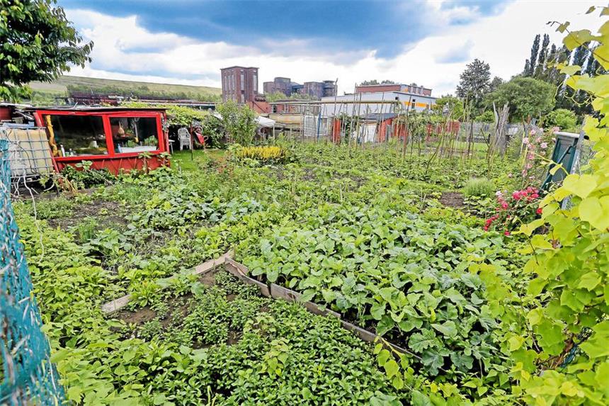 Neue Flüchtlings-Erstaufnahme in Huckarde geplant Hinter dem Gelände der Kokerei Hansa, rund um das Grabeland an der Emscherallee, soll die neue Erstaufnahme entstehen.