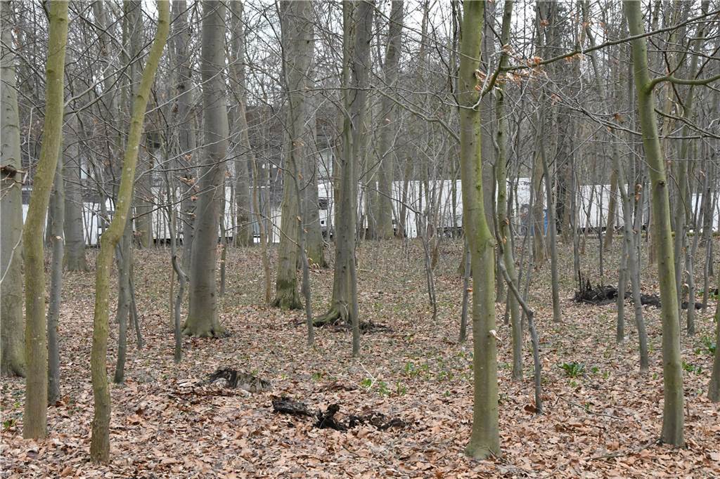 Dreharbeiten im Schloss Nordkirchen: Warum gibt es im Schlosspark Sperrungen? Hinter der alten Mensa stehen viele Lastwagen, offenbar haben sie die Ausrüstung zu den Dreharbeiten geladen.