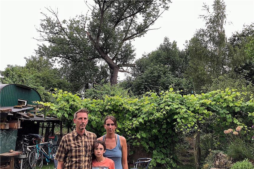 Bauunternehmen rodet in Mengede ohne Genehmigung Hinter der Hecke ihres Gartens an der Straße Eckei 26 befindet sich das gerodete Grundstück. Die größeren Bäume, in denen nach Aussage von Frank Fischer und Jenni Pätsch auch der Waldkauz und einige Fledermausarten beheimatet sind, stehen bislang allerdings noch.