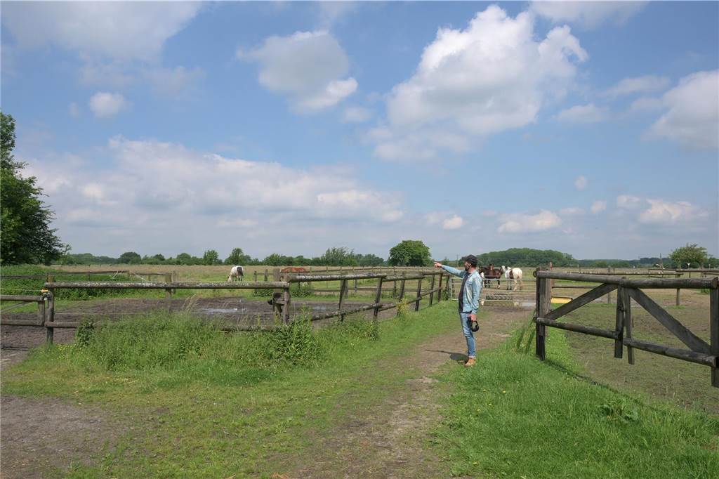 Ärger um Project Germany in Südkirchen: Pferdebauer sorgt sich um Sicherheit seiner Tiere Hinter der Pferdekoppel von Robert Kampf soll im August das Festival Project Germany stattfinden. Er sieht dabei eine Gefahr für seine Tiere und die Menschen, sollten die Pferde ausbrechen.
